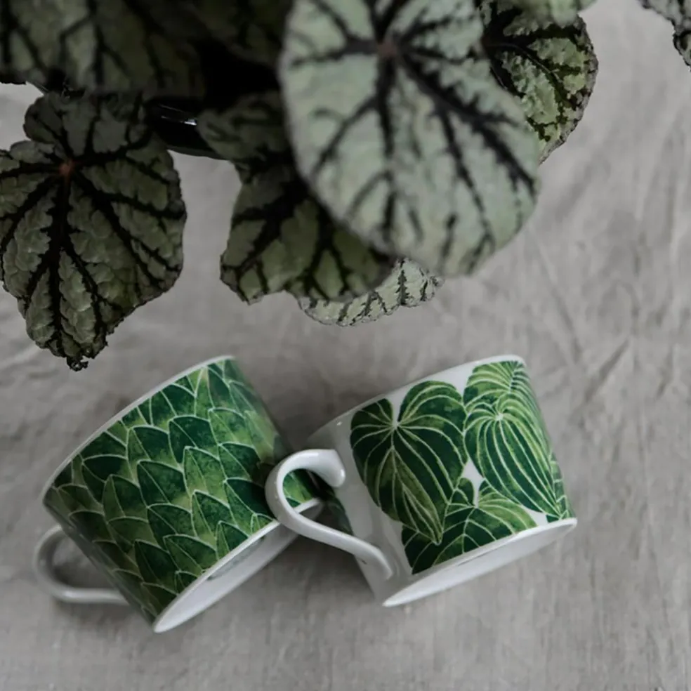 Botanica Daggkåpa Cup, Green