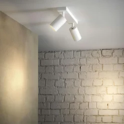 Canspot 57 Double Spotlight, White