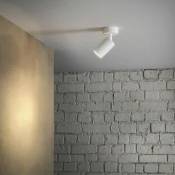 Canspot 57 Single Spotlight, Black