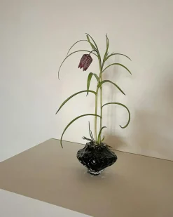 Canyon Mini Vase 8 cm, Clear