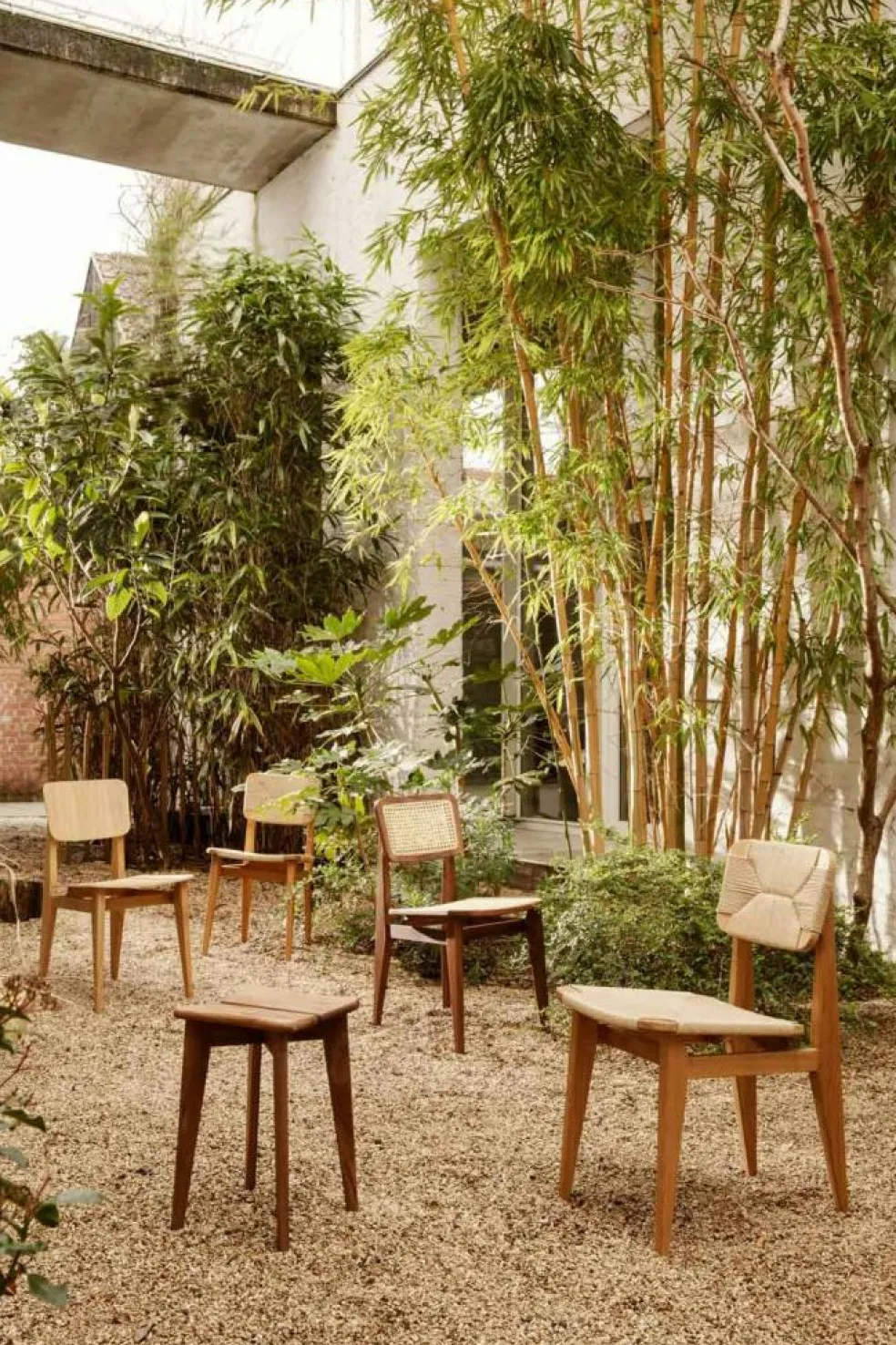 C-Chair Dining Chair, Black oak / Cane