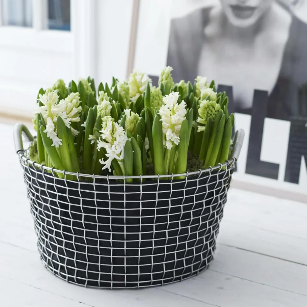 Classic 50 Basket, Galvanized