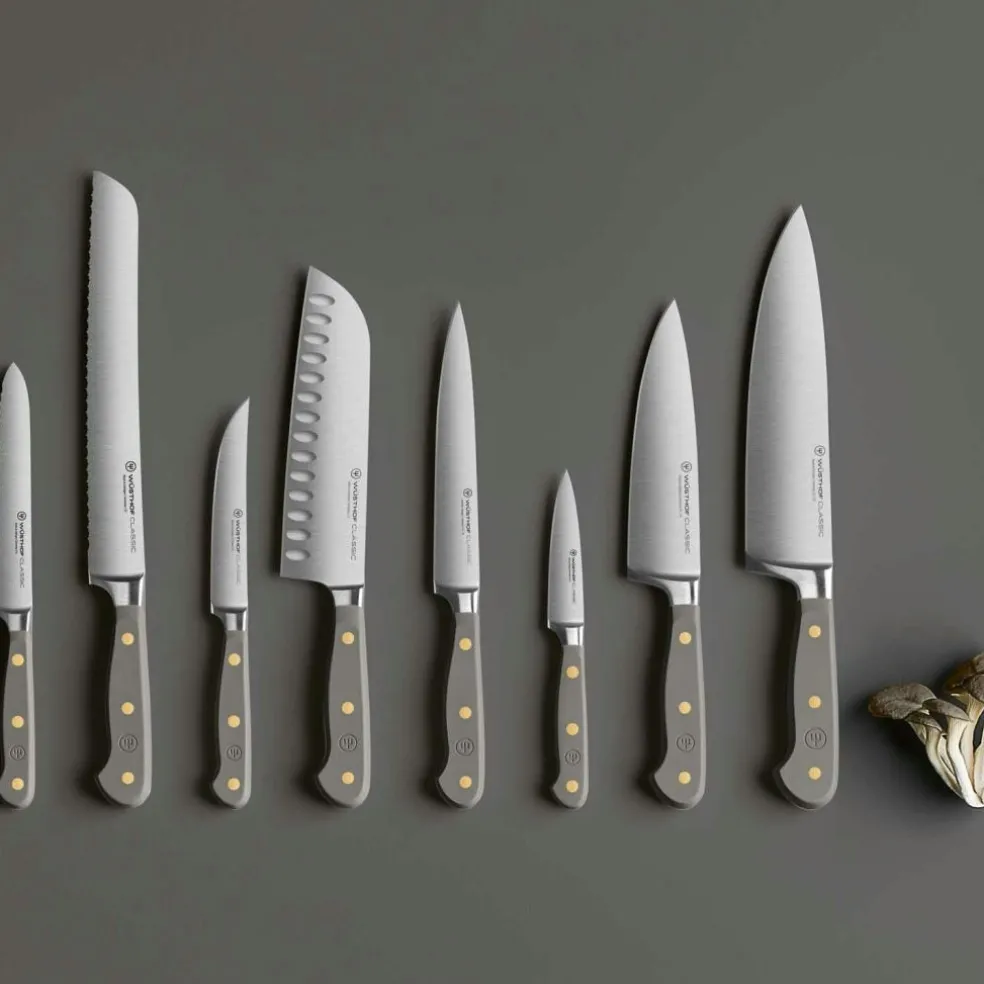 Classic Colour Knife Set With Knife Block 8 Pieces, Wild Blueberry