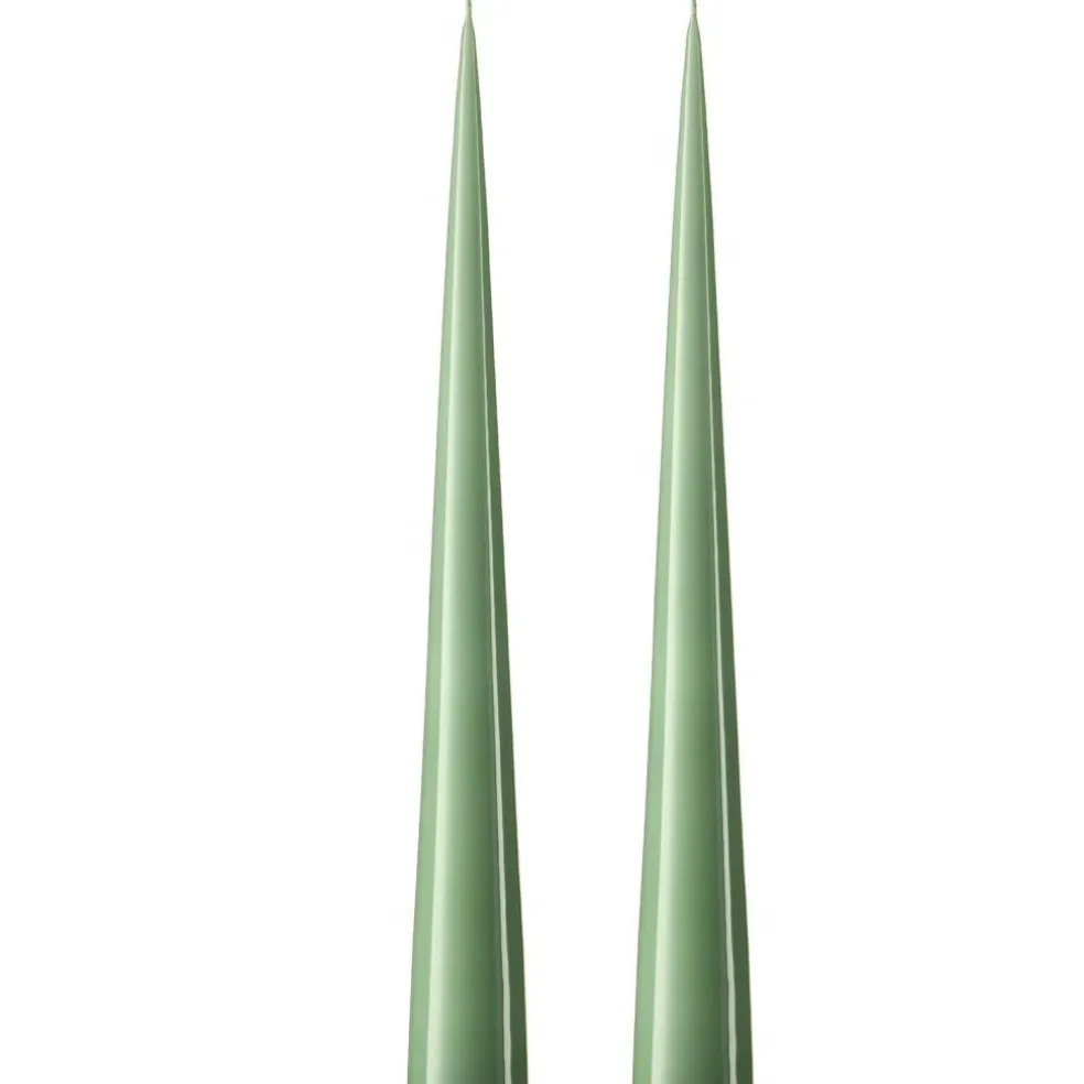 Cone Candles Lacquered 37 cm 2-pack, Eucalytus