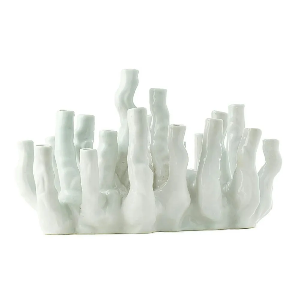 Coral reef Vase, White
