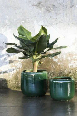 Costa Pot M D21 H21, Grey