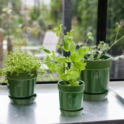 Elise Pot 13 cm, Green