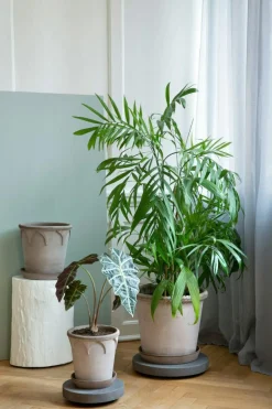 Emilia Pot Grey Ø16 cm