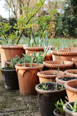 Emilia Pot Rose Pot Rose, 18 cm