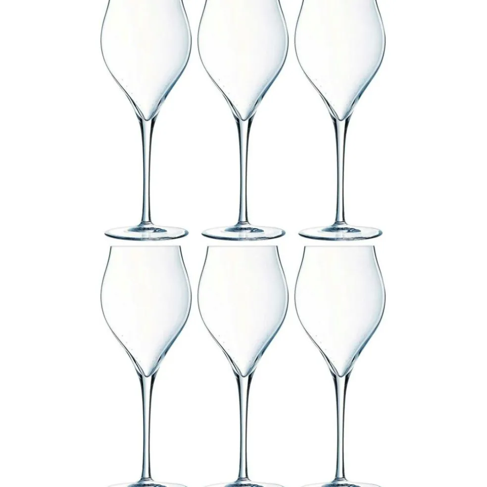 Exaltation Champagne Glass 30 cl Transparent, 6-pack