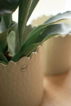 Flowery Pot Ø16 cm, Creme