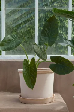 Galestro Pot With Saucer Pink Ø25 cm