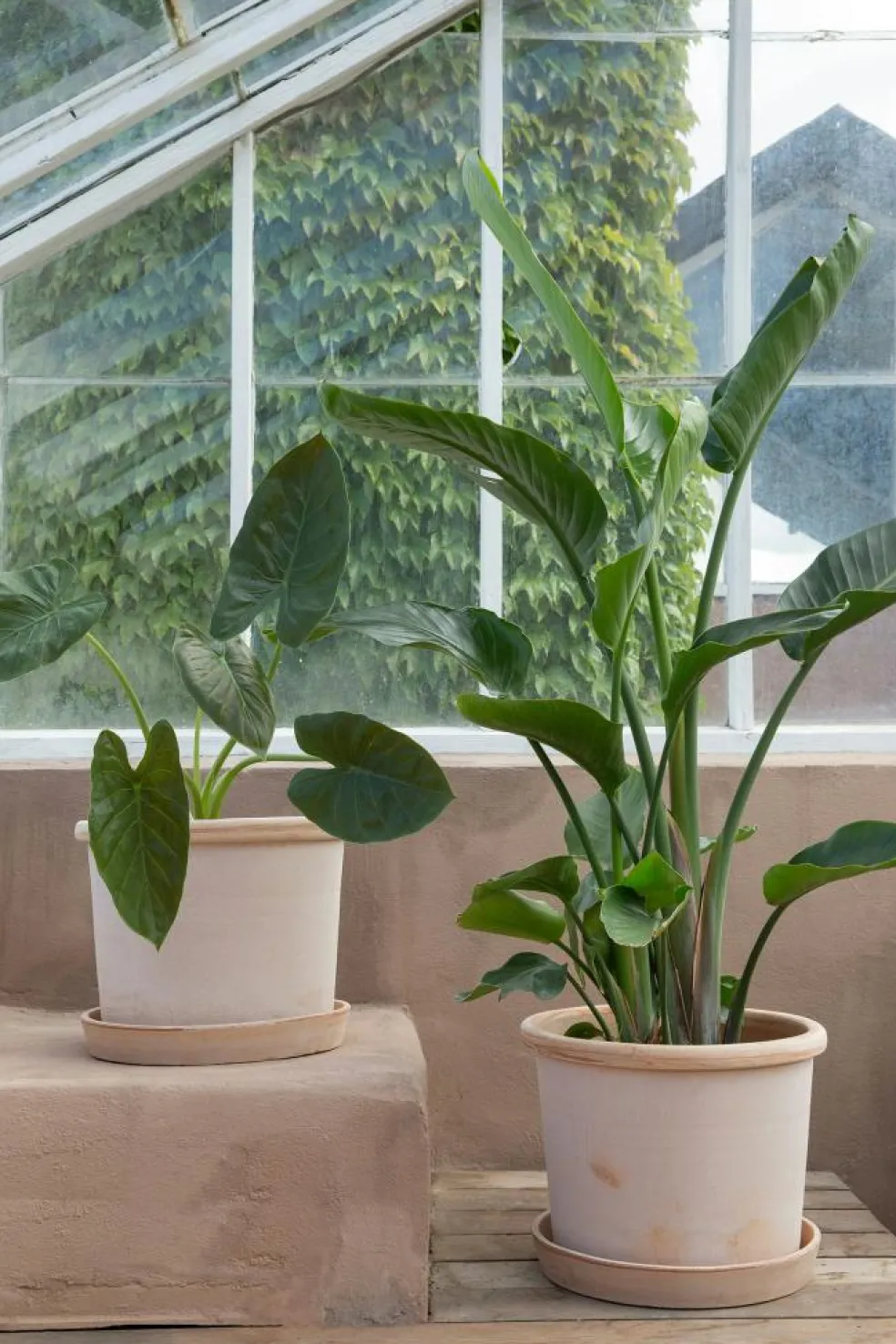 Galestro Pot With Saucer Pink Ø25 cm