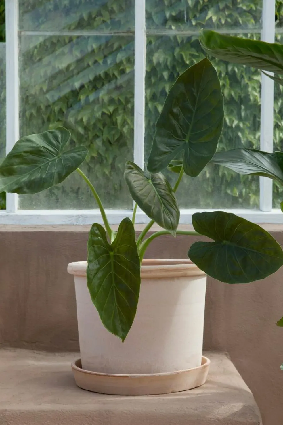 Galestro Pot With Saucer Grey Ø30 cm