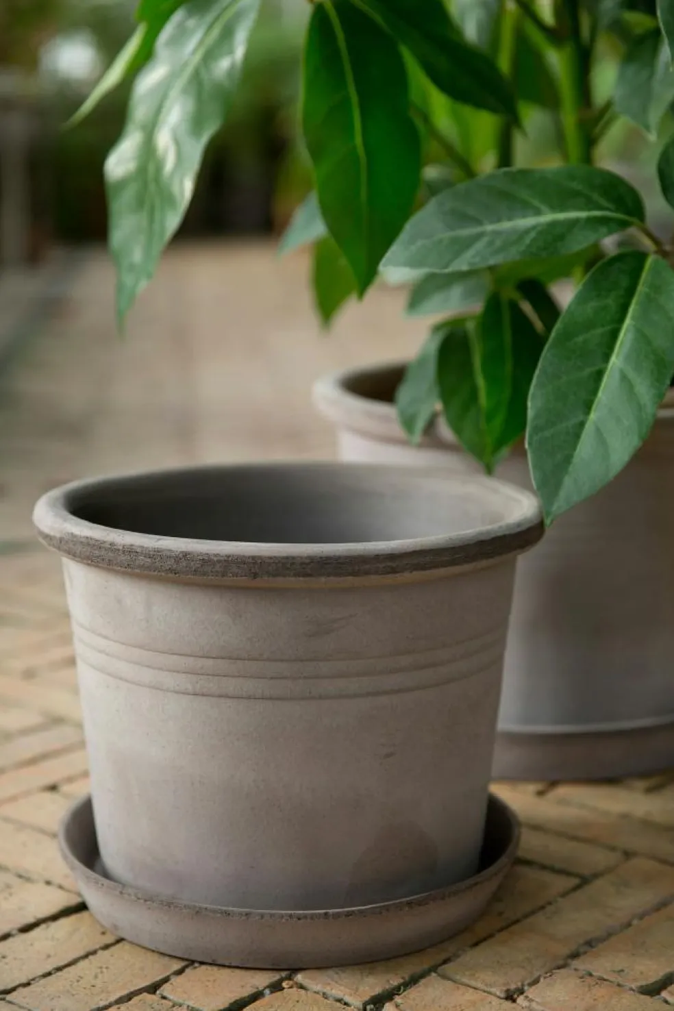 Galestro Pot With Saucer Grey Ø30 cm