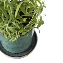 Gastro Pot With Saucer Ø10 cm Black/Green