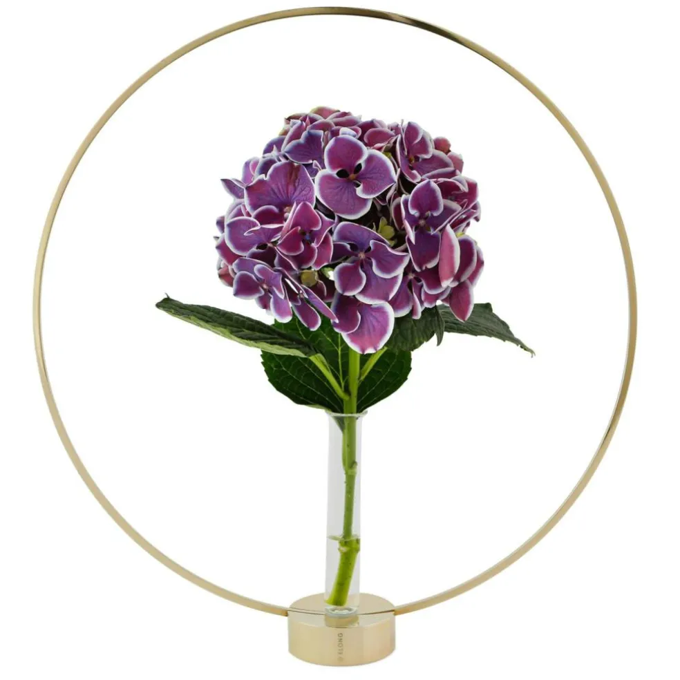 Gloria Candle Holder Small, Brass