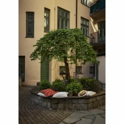 Golden 180 String Light