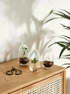 Grow Greenhouse XL, Clear