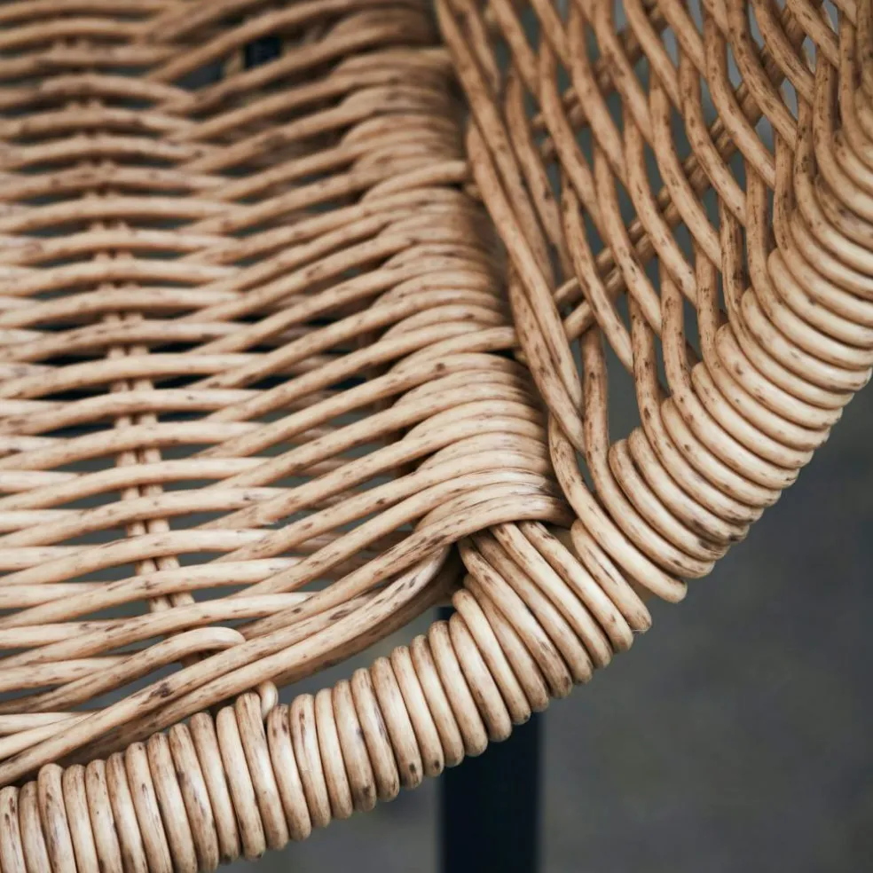 Hapur Armchair, Nature