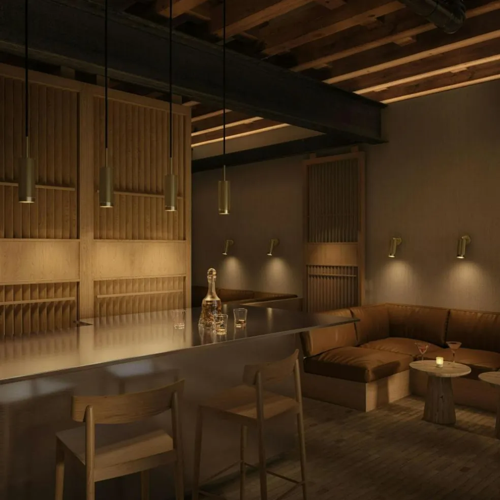 Hölster Wall/Ceiling Lamp, Brass