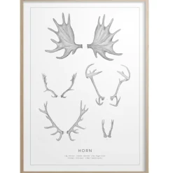 Horn Poster 50x70 cm