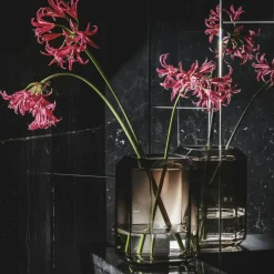 Jewel Giant Vase 18x26 cm, Clear