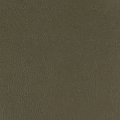 Laminett Armchair Leather, Lacquered Walnut / Black