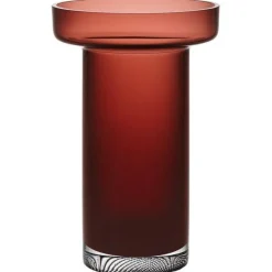 Limelight Rose Vase 23 cm, Clear