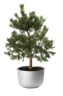 Linea Planter Aluminium no 1, High