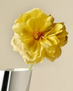 Lituus Floor Vase H50.9 cm