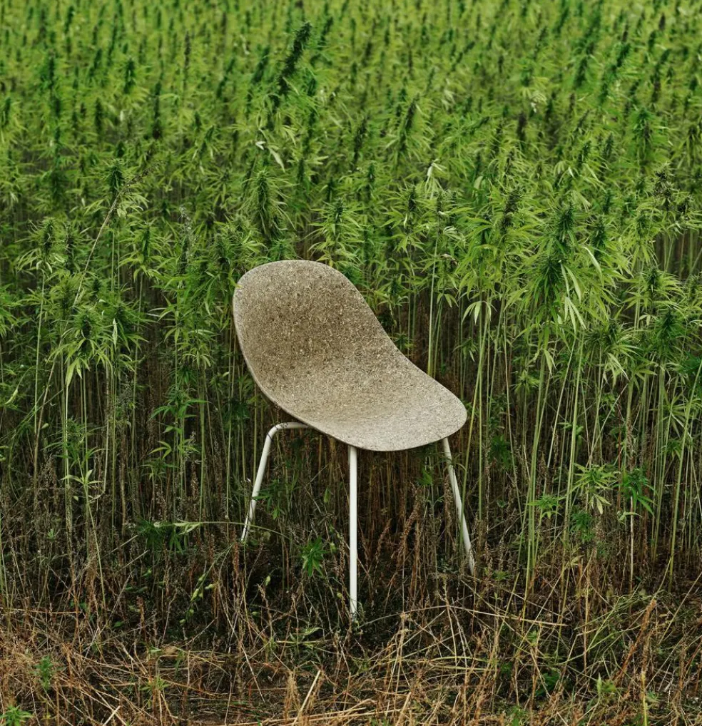 Mat Chair, Seaweed / Black