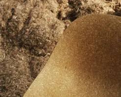 Mat Chair, Seaweed / Black