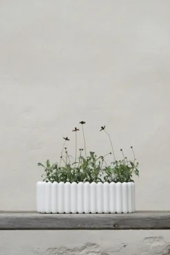 Mist Flower Pot XL, White