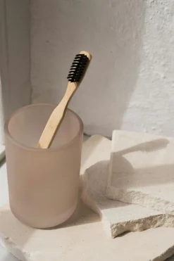 Modest Toothbrush Holder, Kit