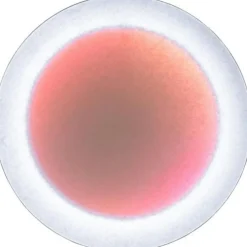 MoodMoon Wall/Ceiling Lamp 85 cm, Red