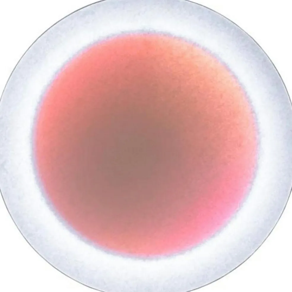 MoodMoon Wall/Ceiling Lamp 85 cm, Red