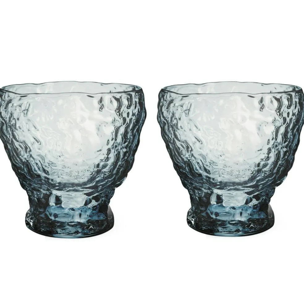 Moss Tumbler 33 cl 2-pack, Clear