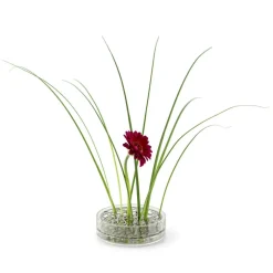 Äng Vase Pond, Brass