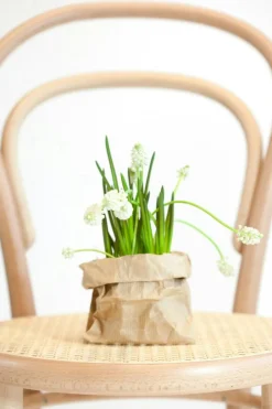 No 14 Dining Chair, Coffee / Rattan