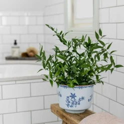 Ostindia Pot, 13x17 cm