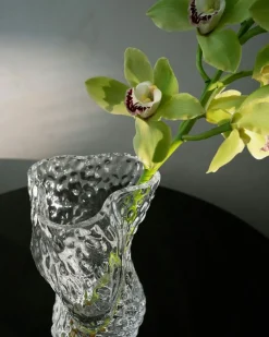 Ostrea Vase 30 cm, Clear