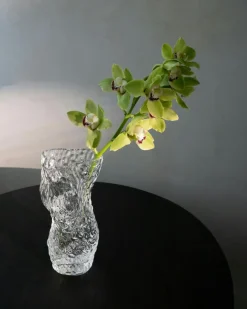 Ostrea Vase 30 cm, Clear