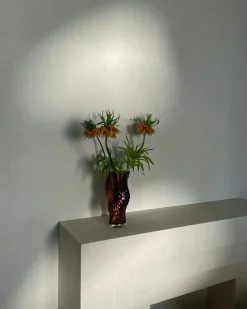 Ostrea Vase 30 cm, Clear