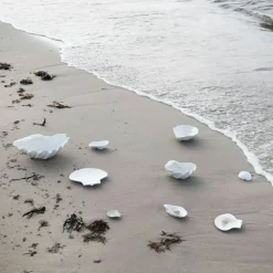 Oyster Bowl 8x13 cm, White