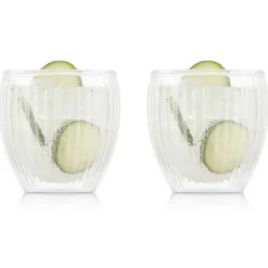 Pavina Double Walled Glass 2-pack, 45 cl