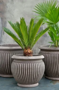 Piccolina Pot Grå Ø30 cm