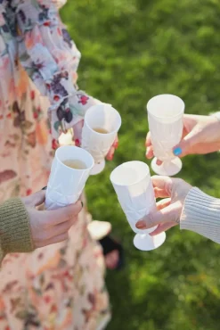 Picknick Glass High With Foot Acrylic 4-pack, Clear