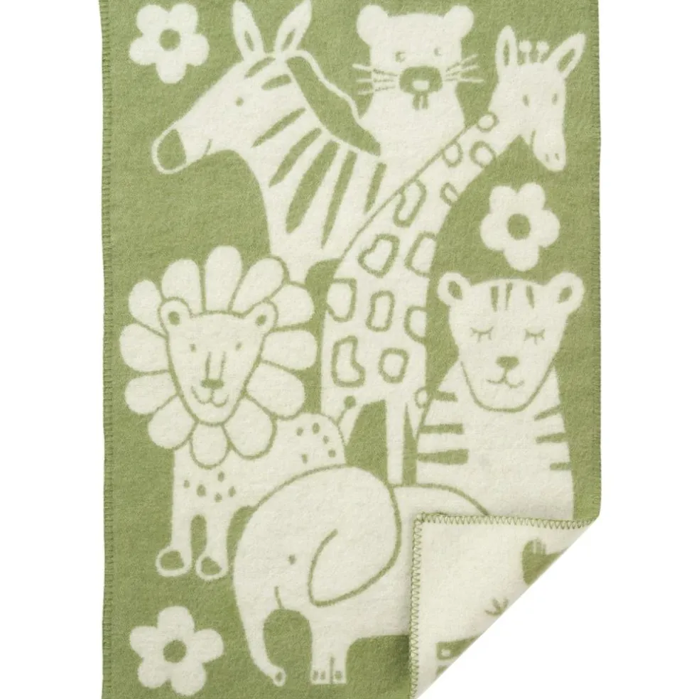 Picnic Plaid 65x90 cm, Green