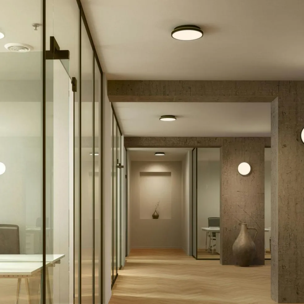 Plafon 20 Wall/Ceiling Lamp, Black / Brass